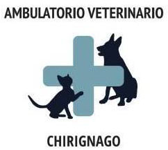www.ambulatorioveterinariochirignago.it